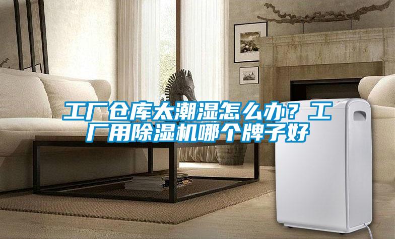 工廠倉庫太潮濕怎么辦？工廠用除濕機哪個牌子好