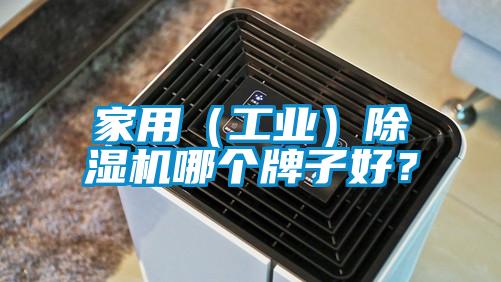 家用(工業)除濕機哪個牌子好?