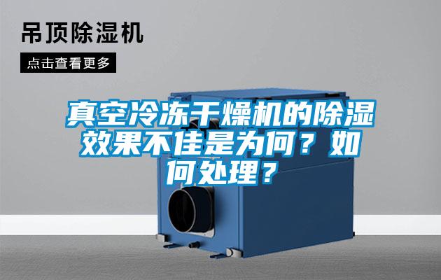 真空冷凍干燥機的除濕效果不佳是為何？如何處理？