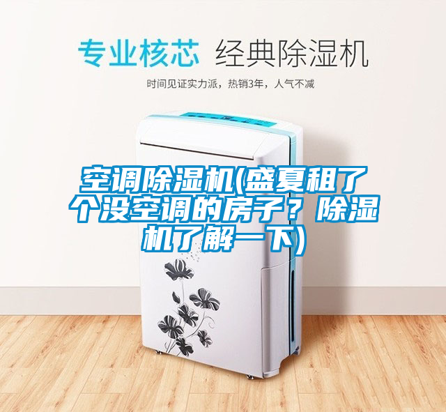 空調(diào)除濕機(jī)(盛夏租了個沒空調(diào)的房子?除濕機(jī)了解一下)