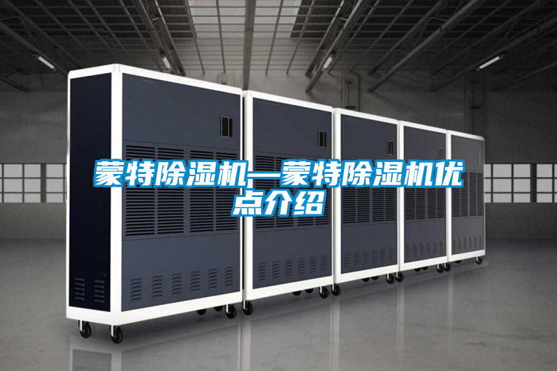 蒙特除濕機—蒙特除濕機優點介紹