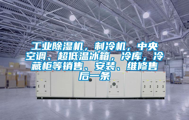 工業(yè)除濕機(jī)，制冷機(jī)，中央空調(diào)、超低溫冰箱，冷庫(kù)，冷藏柜等銷售、安裝、維修售后一條