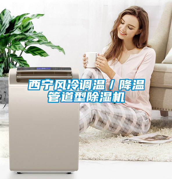 西寧風冷調溫/降溫管道型除濕機