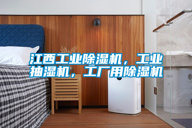 江西工業(yè)除濕機(jī)，工業(yè)抽濕機(jī)，工廠用除濕機(jī)