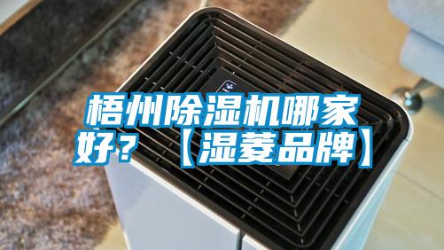梧州除濕機哪家好？【濕菱品牌】