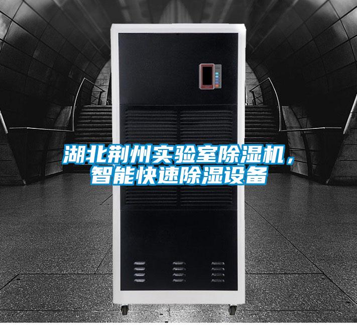 湖北荊州實(shí)驗(yàn)室除濕機(jī),智能快速除濕設(shè)備