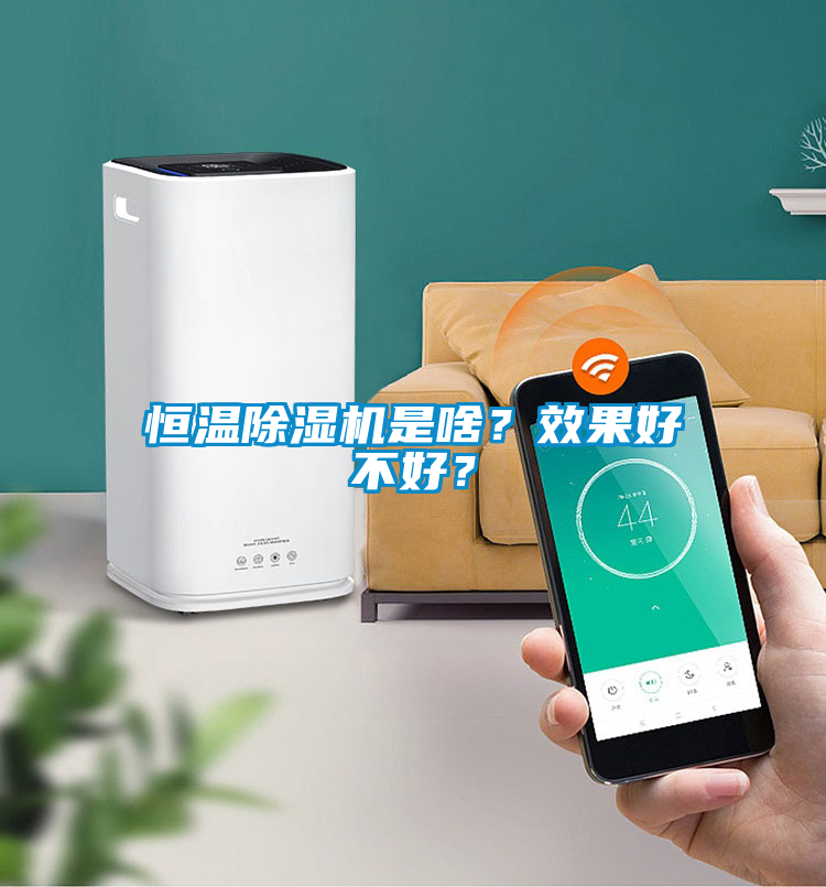 恒溫除濕機是啥？效果好不好？