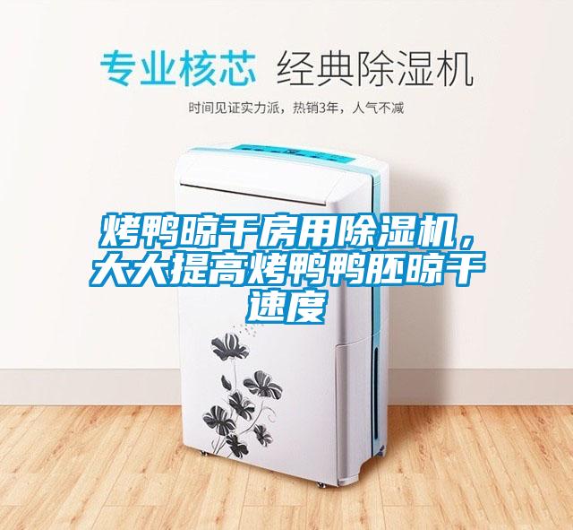 烤鴨晾干房用除濕機(jī),大大提高烤鴨鴨胚晾干速度