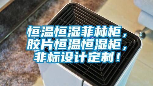 恒溫恒濕菲林柜，膠片恒溫恒濕柜，非標(biāo)設(shè)計定制！