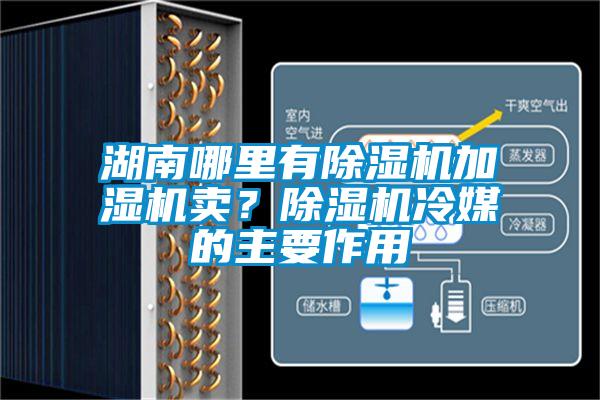 湖南哪里有除濕機加濕機賣?除濕機冷媒的主要作用