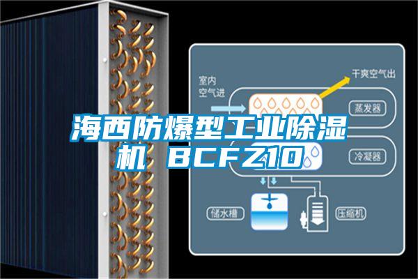 海西防爆型工業除濕機 BCFZ10