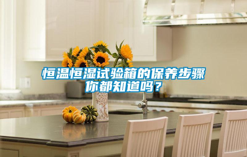 恒溫恒濕試驗箱的保養(yǎng)步驟你都知道嗎?