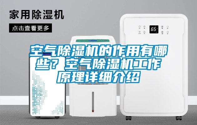 空氣除濕機的作用有哪些？空氣除濕機工作原理詳細介紹