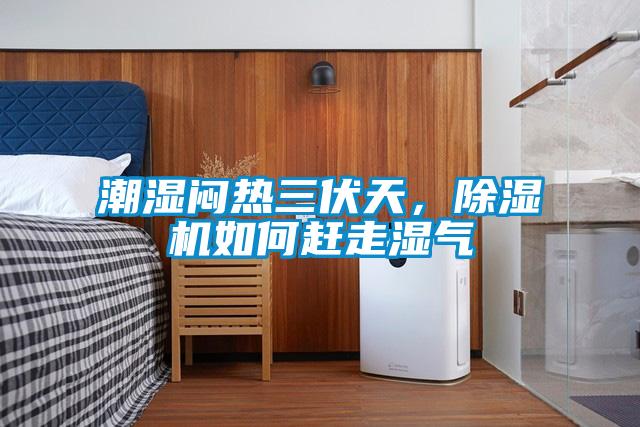 潮濕悶熱三伏天,除濕機(jī)如何趕走濕氣