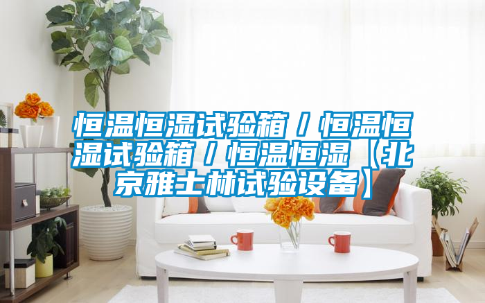 恒溫恒濕試驗(yàn)箱/恒溫恒濕試驗(yàn)箱/恒溫恒濕【北京雅士林試驗(yàn)設(shè)備】