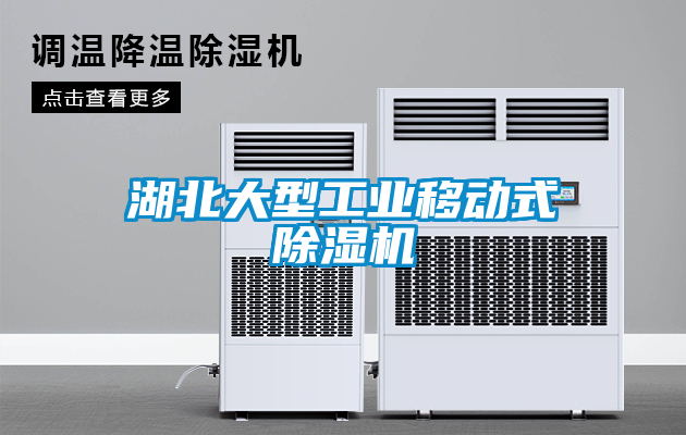 湖北大型工業移動式除濕機