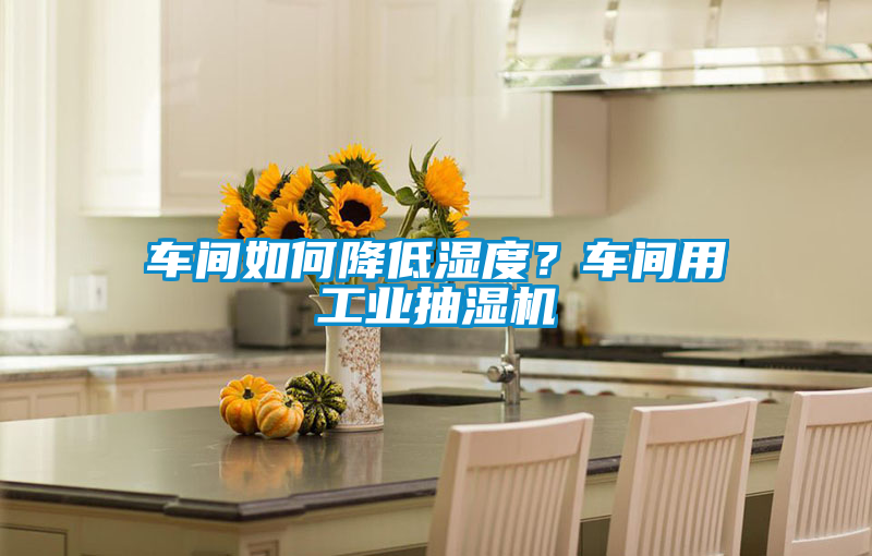 車間如何降低濕度？車間用工業(yè)抽濕機