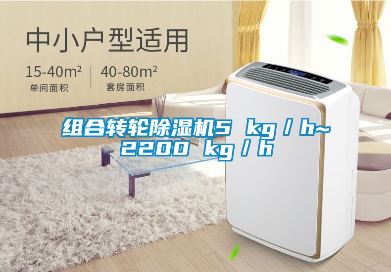 組合轉(zhuǎn)輪除濕機(jī)5 kg/h~2200 kg/h