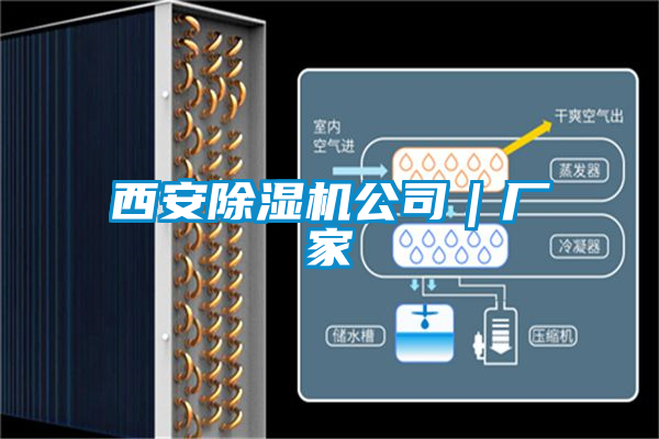 西安除濕機公司|廠家