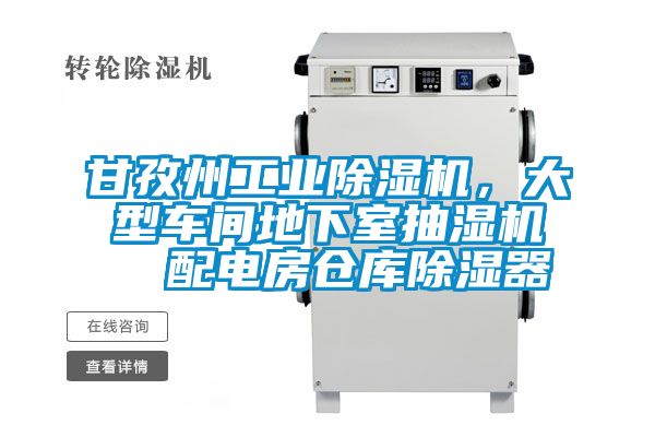 甘孜州工業(yè)除濕機,大型車間地下室抽濕機 配電房倉庫除濕器