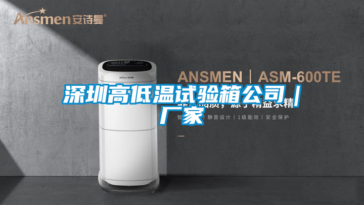 深圳高低溫試驗(yàn)箱公司|廠家
