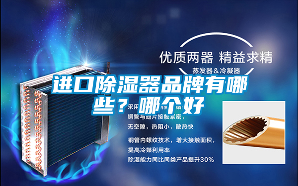 進口除濕器品牌有哪些？哪個好