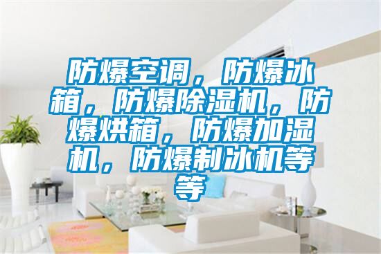 防爆空調(diào),防爆冰箱,防爆除濕機(jī),防爆烘箱,防爆加濕機(jī),防爆制冰機(jī)等等
