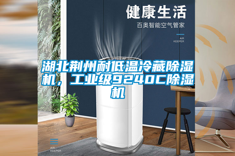 湖北荊州耐低溫冷藏除濕機，工業級9240C除濕機