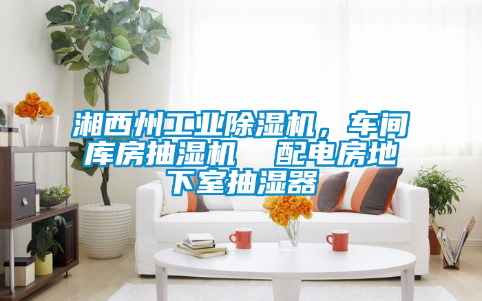 湘西州工業(yè)除濕機(jī)，車間庫(kù)房抽濕機(jī)  配電房地下室抽濕器