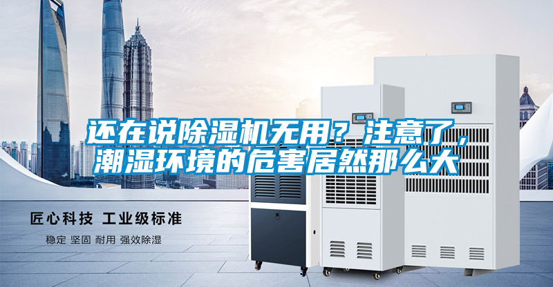 還在說除濕機無用？注意了，潮濕環境的危害居然那么大
