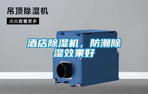 酒店除濕機,防潮除濕效果好