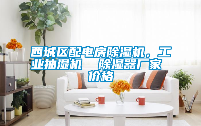 西城區配電房除濕機，工業抽濕機  除濕器廠家 價格