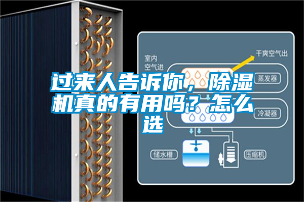 過來人告訴你,除濕機(jī)真的有用嗎?怎么選