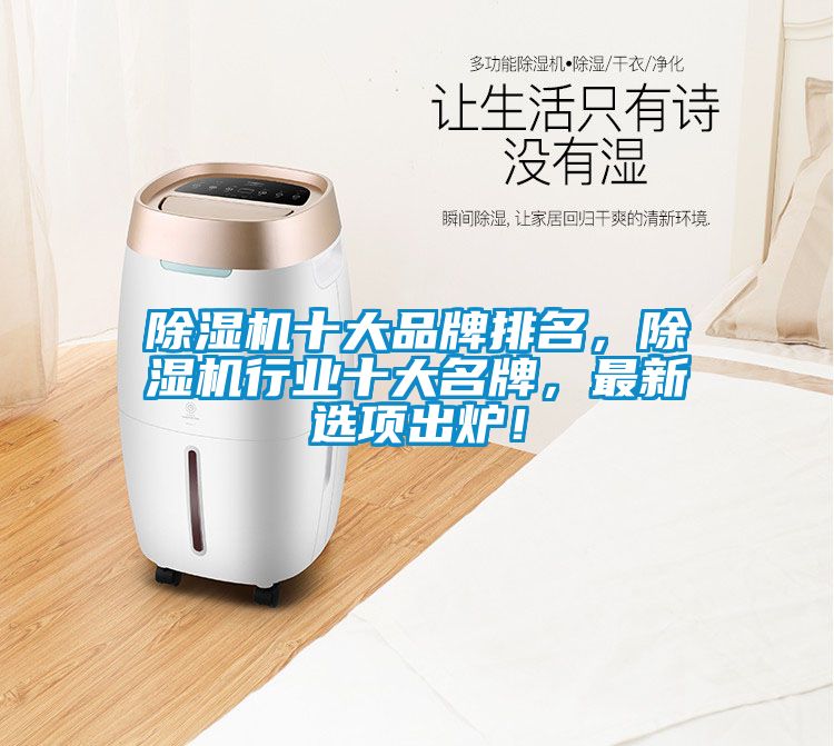除濕機十大品牌排名,除濕機行業十大名牌,最新選項出爐!