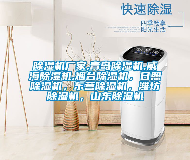 除濕機廠家,青島除濕機,威海除濕機,煙臺除濕機,日照除濕機,東營除濕機,濰坊除濕機,山東除濕機