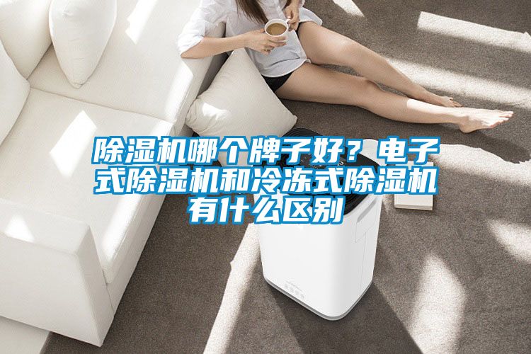 除濕機哪個牌子好？電子式除濕機和冷凍式除濕機有什么區別