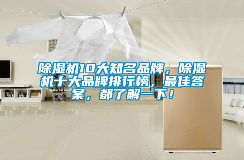 除濕機10大知名品牌，除濕機十大品牌排行榜，最佳答案，都了解一下！