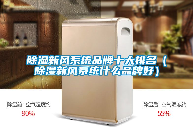 除濕新風系統(tǒng)品牌十大排名(除濕新風系統(tǒng)什么品牌好)