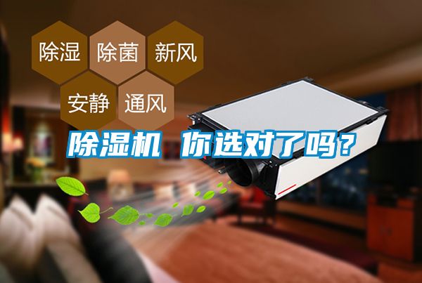 除濕機 你選對了嗎?