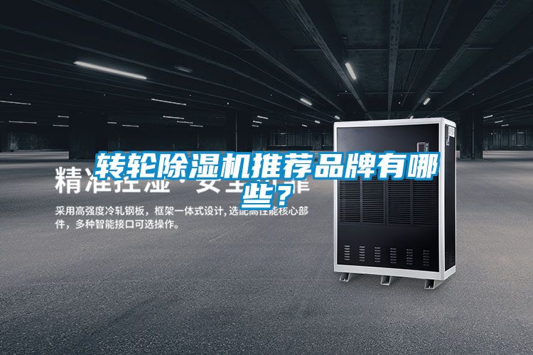 轉輪除濕機推薦品牌有哪些?