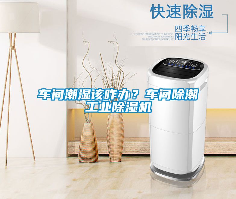 車間潮濕該咋辦?車間除潮工業除濕機