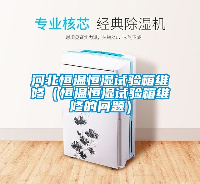 河北恒溫恒濕試驗箱維修(恒溫恒濕試驗箱維修的問題)