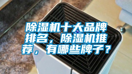 除濕機十大品牌排名,除濕機推薦,有哪些牌子?