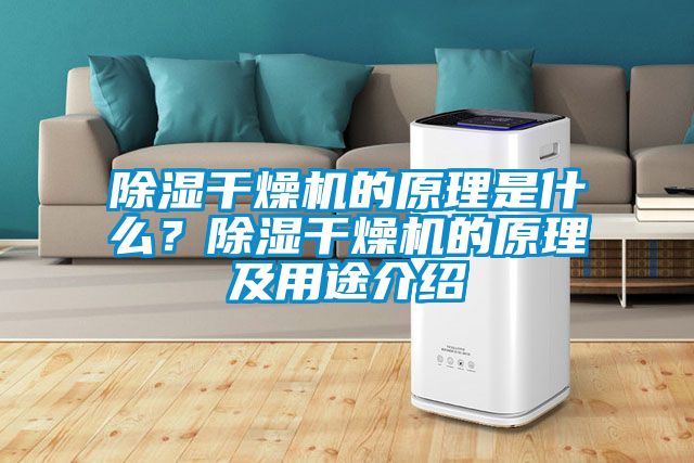 除濕干燥機的原理是什么?除濕干燥機的原理及用途介紹