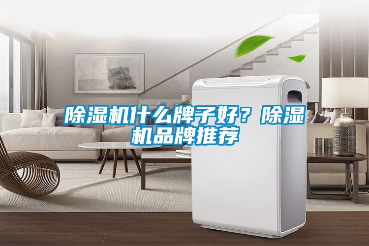 除濕機什么牌子好?除濕機品牌推薦