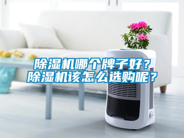 除濕機哪個牌子好？除濕機該怎么選購呢？