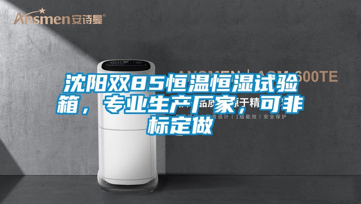 沈陽(yáng)雙85恒溫恒濕試驗(yàn)箱，專業(yè)生產(chǎn)廠家，可非標(biāo)定做