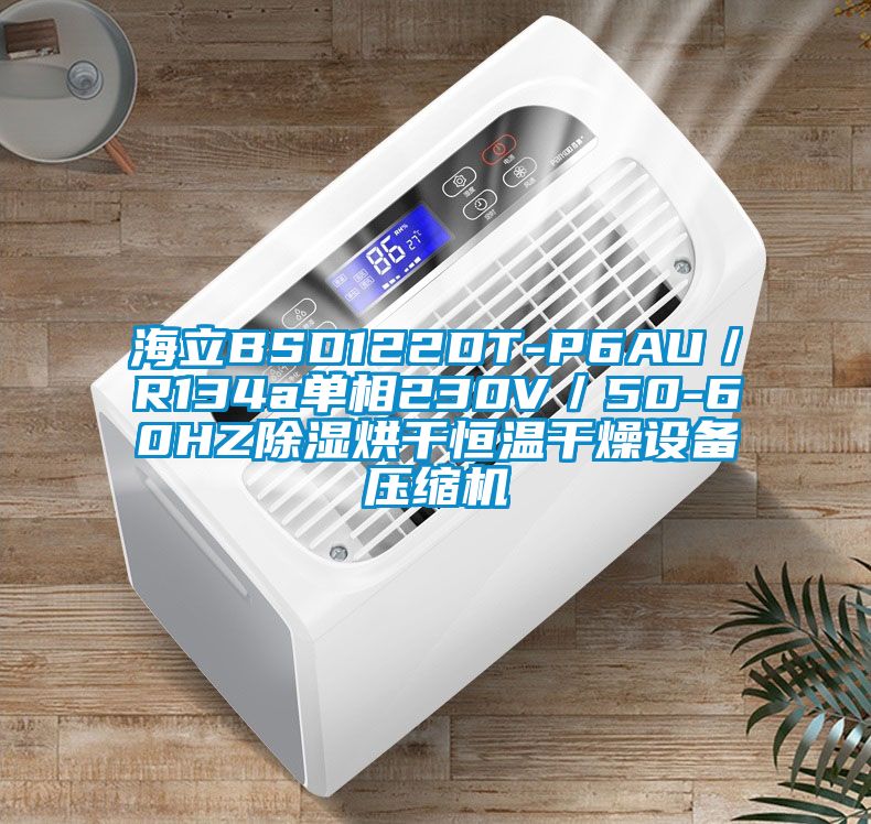 海立BSD122DT-P6AU/R134a單相230V/50-60HZ除濕烘干恒溫干燥設(shè)備壓縮機(jī)