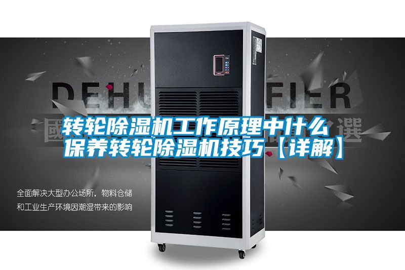 轉輪除濕機工作原理中什么 保養轉輪除濕機技巧【詳解】
