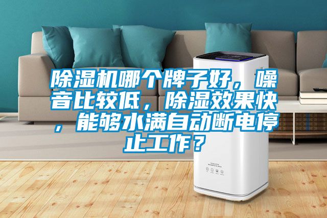 除濕機哪個牌子好，噪音比較低，除濕效果快，能夠水滿自動斷電停止工作？